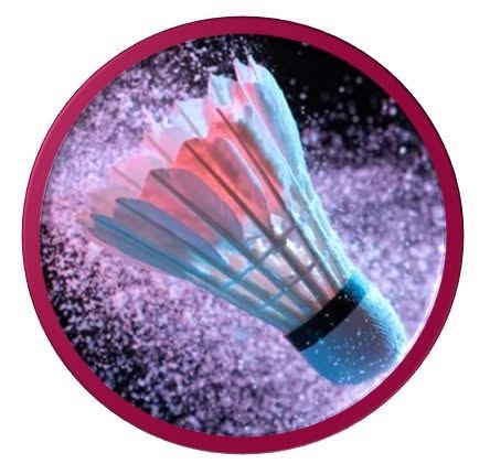Logo: Bronllys Badminton Club