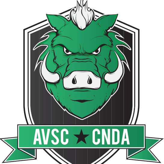 Logo: Amman Valley Swimming Club