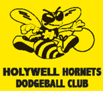 Logo: Holywell Hornets Dodgeball Club